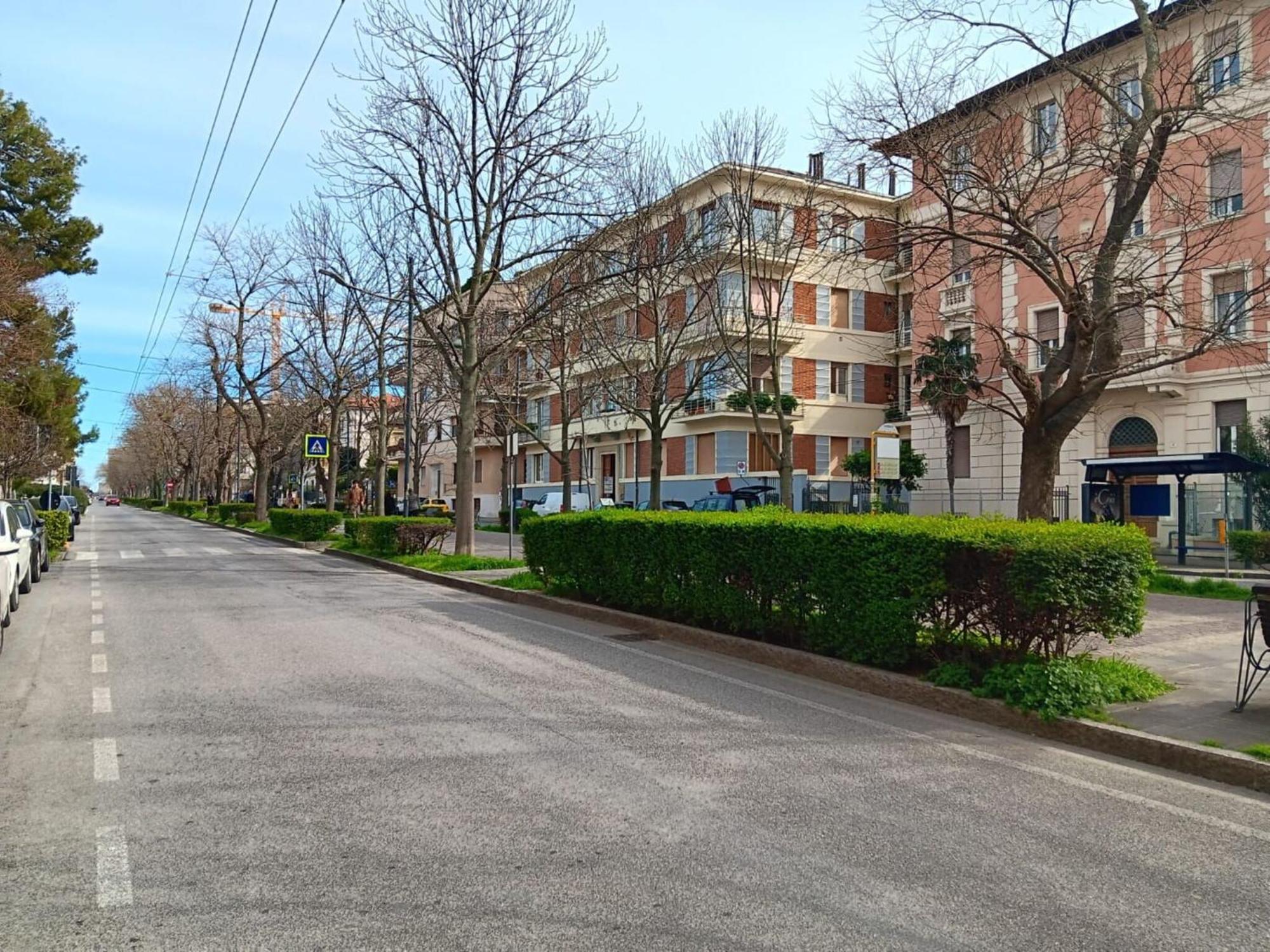 Italian Experience- Ancona City Apartment Eksteriør bilde